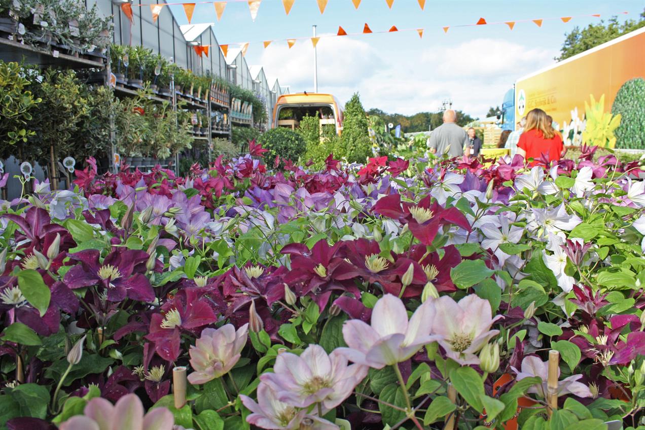 Four Oaks_Stand display